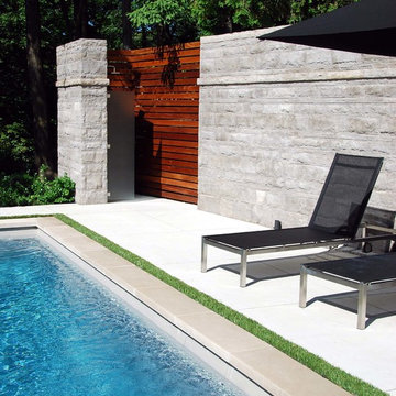 Modern Landscape