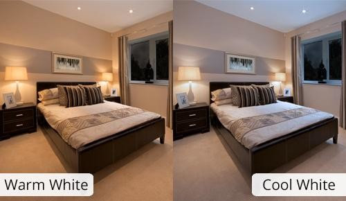 Which type of light color is preferred?