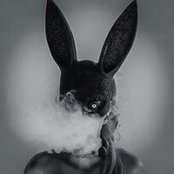 Rachel Michelle's photo
