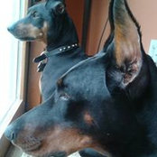 Tammy Radtkin's photo