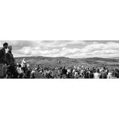 Andrew Brown's photo