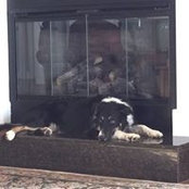 Stephen Glasser's photo