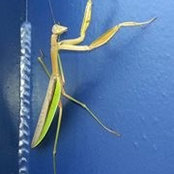 Owen Matson's photo