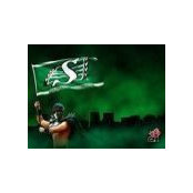 Shauna Cutcliffe's photo