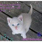 Dawn Justice's photo