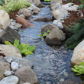 Orchard Lane Pond