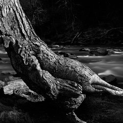 Fine Art Decor_Landscape - Artwork