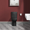 Carre 1-Piece Square Toilet Dual-Flush, Matte Black 1.1/1.6 gpf