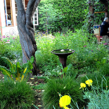 Low Water Cottage Garden