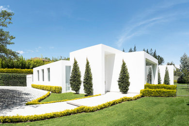 Diseño de fachada de casa blanca y blanca de tamaño medio de una planta con revestimiento de estuco, tejado plano y tejado de varios materiales