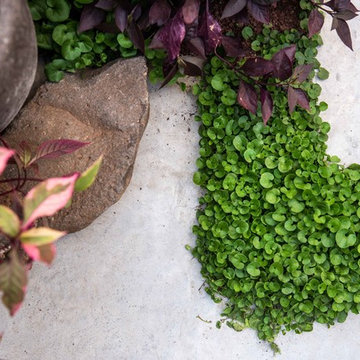Landscape and hardscape