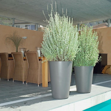 Planters and Containers