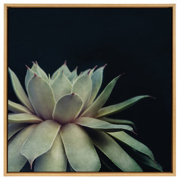Sylvie Succulent Framed Canvas by F2 Images, Natural 30x30