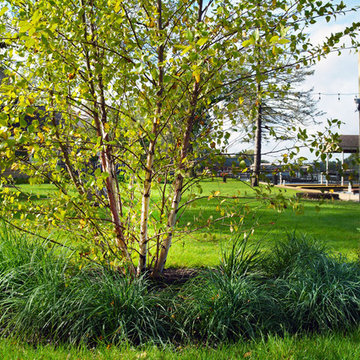 McHenry River-Side Natural Prairie Landscaping
