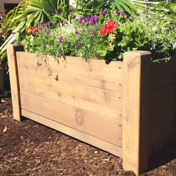 Cedar Planters