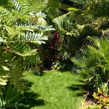 Front yard tropical-like entry grown in to client's privacy needs.