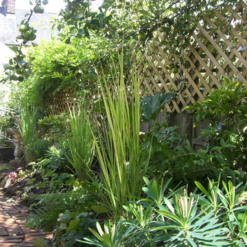 Secluded exotic garden