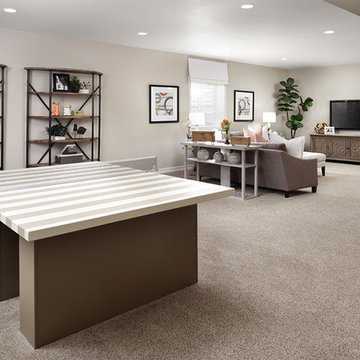 Daniel model home in Colorado