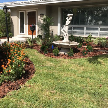 Our Work