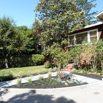Fernandez Residence - Kentfield