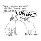 Dante Rodriguez's photo