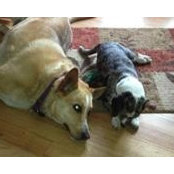 Foto von Cecile Bastarache