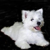 Yolanda Banner's photo
