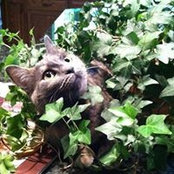 Jill Hattenberger's photo