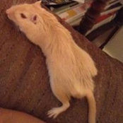 Beverly Bowers's photo