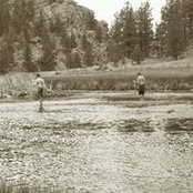 Noelle Cope-Winkelman's photo