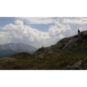 Glenn Roberts's photo