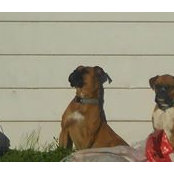 Lesa Kelly-Dossett's photo