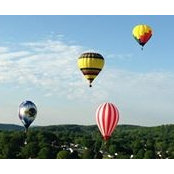 Jeri Whiteus's photo