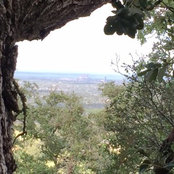 Melissa J.'s photo