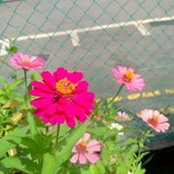 Foto von Catherine Woon