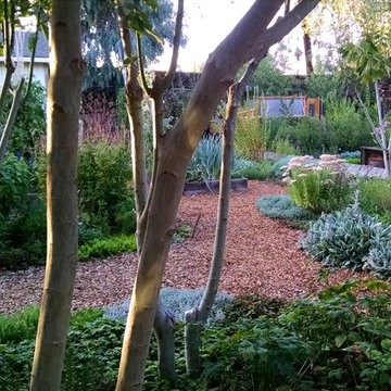Shoestring eco-paradise and plant experimentation station