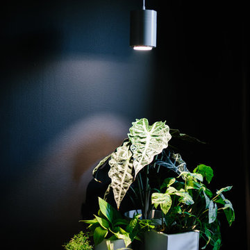 Green Your Apartment
