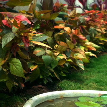 Side Yard - Nagarabhavi
