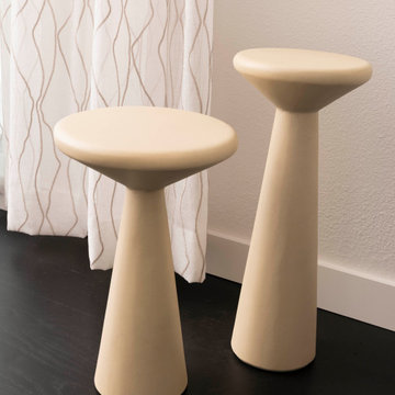 Preston Hollow Modern Minimalist Furnishing