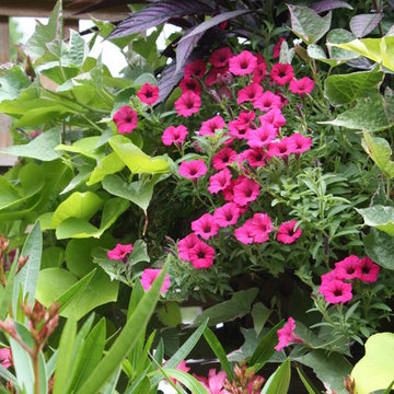 Wisteria & Rose roof deck designs. Visit www.wisteriaandrose.com for more info!
