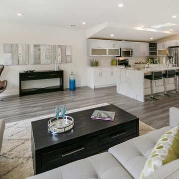 College Ave., San Francisco Modern Flip