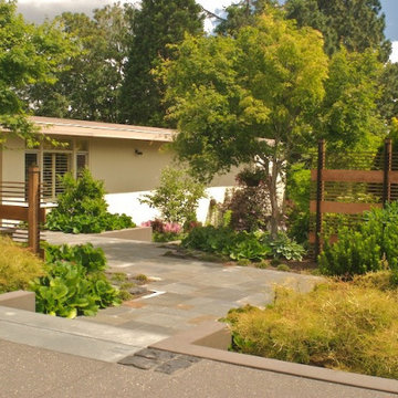 Skyline Garden