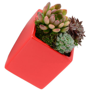 Small Cube Wall Planter, Red