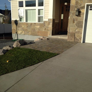 Recent Project