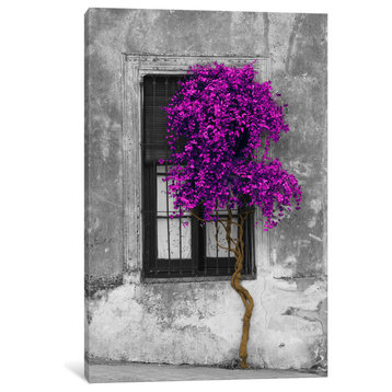 "Tree in Front of Window Purple Pop Color Pop" by Panoramic Images, 26x18x1.5"