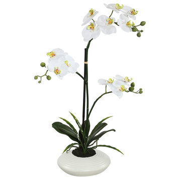 Vickerman Potted Orchid Arrangement, White, 25"