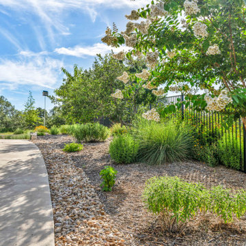 Dripping Springs Oasis