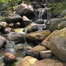 Natural Pool