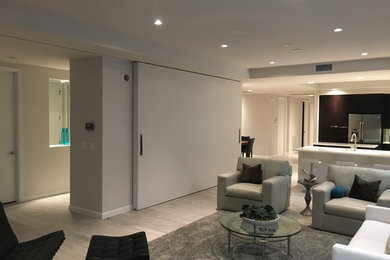 Example of a minimalist living room design in Orlando