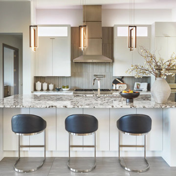 Reflexion Titanium Porcelain Kitchen